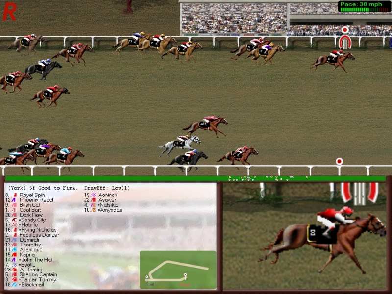 best computer horse racing game online